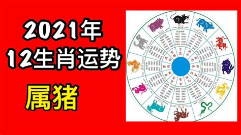 時沖化解|【農民曆 沖 意思】閲懂農民曆！「沖」的奧秘大揭密：生肖衝日。